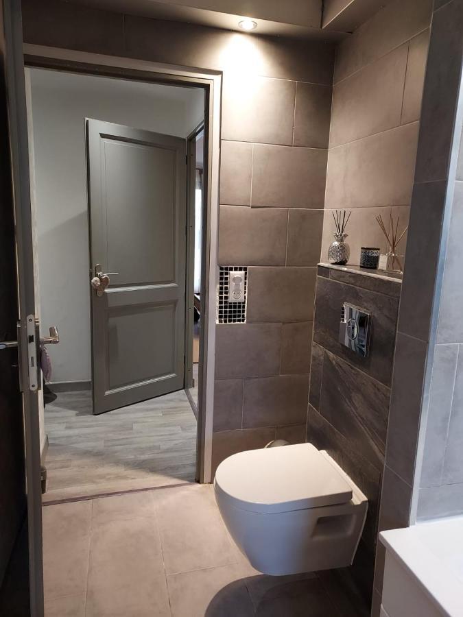 Residence Du Vieux Chateau Jardin & Parking Gratuit มูลูส ภายนอก รูปภาพ